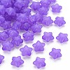 Transparent Acrylic Beads MACR-S373-26E-01-1