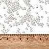 12/0 Transparent Glass Seed Beads X-SEED-F003-03C-07-4