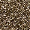 MIYUKI Delica Beads X-SEED-J020-DB2396-3