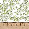 6/0 Spray Paint Fringe Glass Seed Beads X1-SEED-H003-11N-4