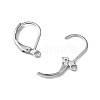 Tarnish Resistant 304 Stainless Steel Leverback Earring Findings X-STAS-S028-07-1