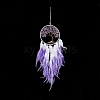 Iron Woven Web/Net with Feather Pendant Decorations AJEW-B017-06-5