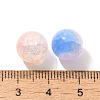 Mixed Style Glass Beads GLAA-XCP0012-02F-3