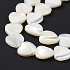 Natural Trochus Shell Beads Strands SSHEL-H070-06D-5