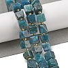 Natural Apatite Beads Strands G-G053-B18-03-2