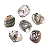 Natural Paua Shell Pendants SHEL-T020-11A-1