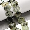 Natural Prehnite Beads Strands G-H078-B08-01-2