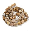 Natural Fossil Coral Beads Strands G-P497-01E-36-3