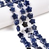 Natural Sodalite Beads Strands G-T138-188-1