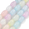 Macaron Color Natural Selenite Beads Strands G-B102-A01-01-1