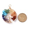 Natural & Synthetic Gmestone Copper Wire Big Pendants PALLOY-JF01433-01-2