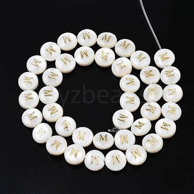 Natural Freshwater Shell Beads SHEL-S276-168M-1