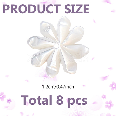 8Pcs Natural Shell Beads FIND-GO0003-28-1