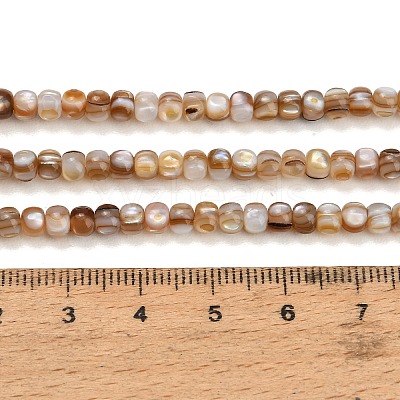 Natural Freshwater Shell Beads Strands SH-CBA93AD-03-1