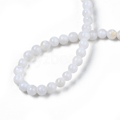 Natural Freshwater Shell Beads Strands X-SHEL-N003-24-A01-1
