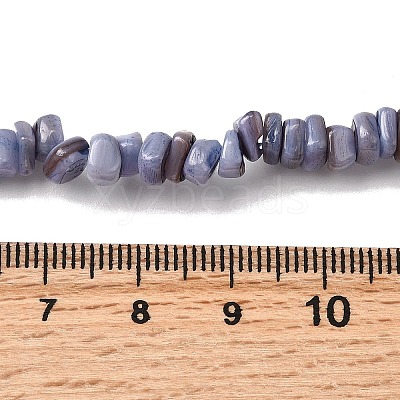 Natural Freshwater Shell Beads SHEL-B003-01G-1