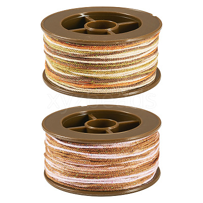 2 Rolls 2 Colors Segment Dyed Round Polyester Twisted Cords OCOR-TA0003-59C-1
