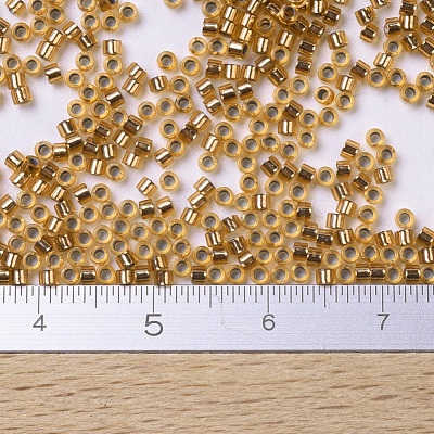 MIYUKI Delica Beads X-SEED-J020-DB0181-1