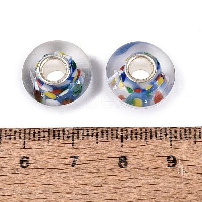 Handmade Lampwork & Brass Core European Beads LAMP-N044-09S-01-1