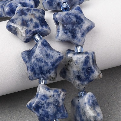 Natural Blue Spot Jasper Beads Strands G-K359-E11-1