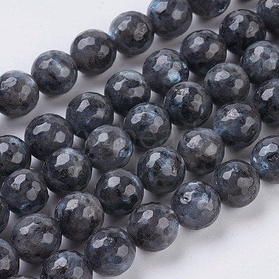 Natural Larvikite Beads Strands X-G-G542-10mm-27-1
