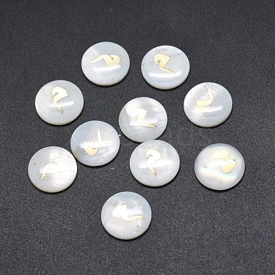 Shell Cabochons SSHEL-E568-B09-1