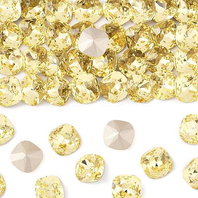 Preciosa® MAXIMA Crystal Fancy Stones X-PRC-FC10-80100-1