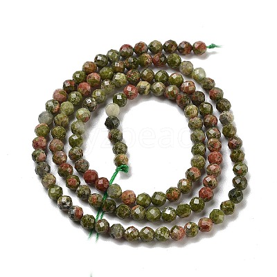 Natural Unakite Beads Strands G-B088-C15-03-1