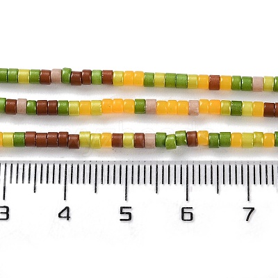 Handmade Lampwork Beads Strands LAMP-L078-008H-1