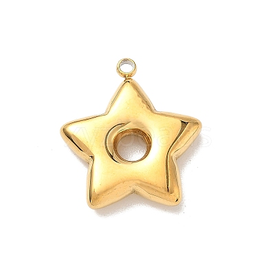 304 Stainless Steel Pendants STAS-L301-13G-1