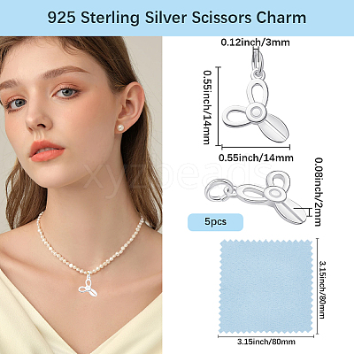 5Pcs 925 Sterling Silver Charms STER-BBC0009-93B-1