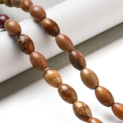 Natural Picture Jasper Beads Strands G-B106-B21-01-1