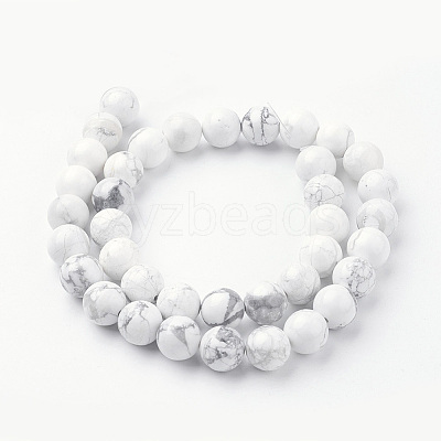 Natural Howlite Bead Strands G-G735-66-10mm-1