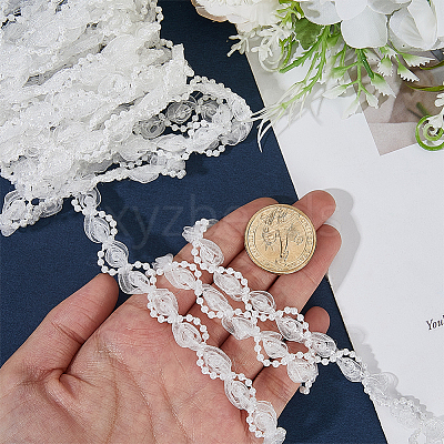 Polyester Lace Ribbon OCOR-WH20001-83A-1