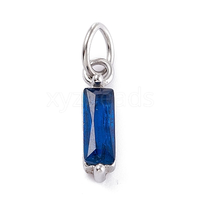 304 Stainless Steel Cubic Zirconia Pendants STAS-E487-21P-08-1