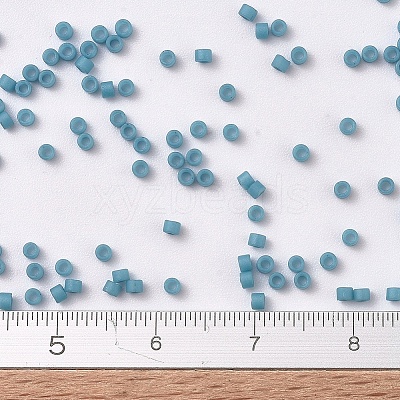 MIYUKI Delica Beads SEED-X0054-DB0798-1