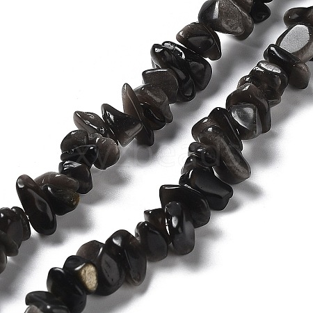 Natural Silver Sheen Obsidian Chip Beads Strands G-M205-07A-1