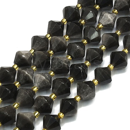 Natural Silver Obsidian Beads Strands G-I376-C13-01-1