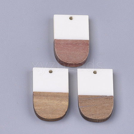 Resin & Walnut Wood Pendants X-RESI-S358-34C-1