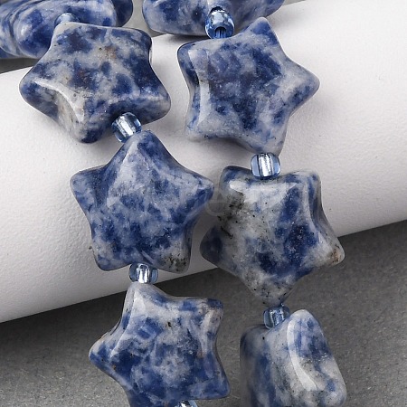 Natural Blue Spot Jasper Beads Strands G-K359-E11-1