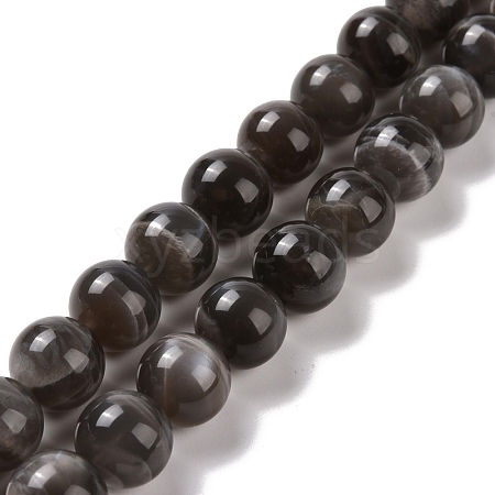 Natural Black Moonstone Beads Strands G-J157-12mm-05-1