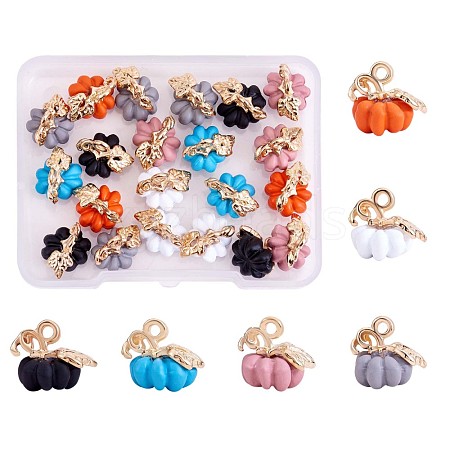 30Pcs Thanksgiving Pumpkin Charms Pendant Fall Theme Charm Colorful Pumpkin Charms for Jewelry Necklace Bracelet Earring Making Crafts JX296A-1