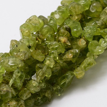 Grade A Natural Peridot Chip Bead Strands X-G-M298-05-1