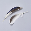 Feather Costume Accessories FIND-Q046-15F-3