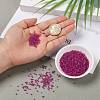 12/0 Glass Seed Beads SEED-A014-2mm-140-5