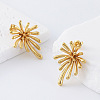 Firework 304 Stainless Steel Stud Earrings for Women YF3044-5