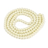 Baking Paint Glass Pearl Beads Strands LS-DGLA-ZX001-05B-04-2