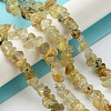 Natural Rutilated Quartz Beads Strands G-Z034-E10-01-2