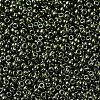 MIYUKI Round Rocailles Beads X-SEED-G007-RR0459-3
