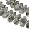 Natural Labradorite Double Terminated Point Beads Strands G-H069-B04-01-4